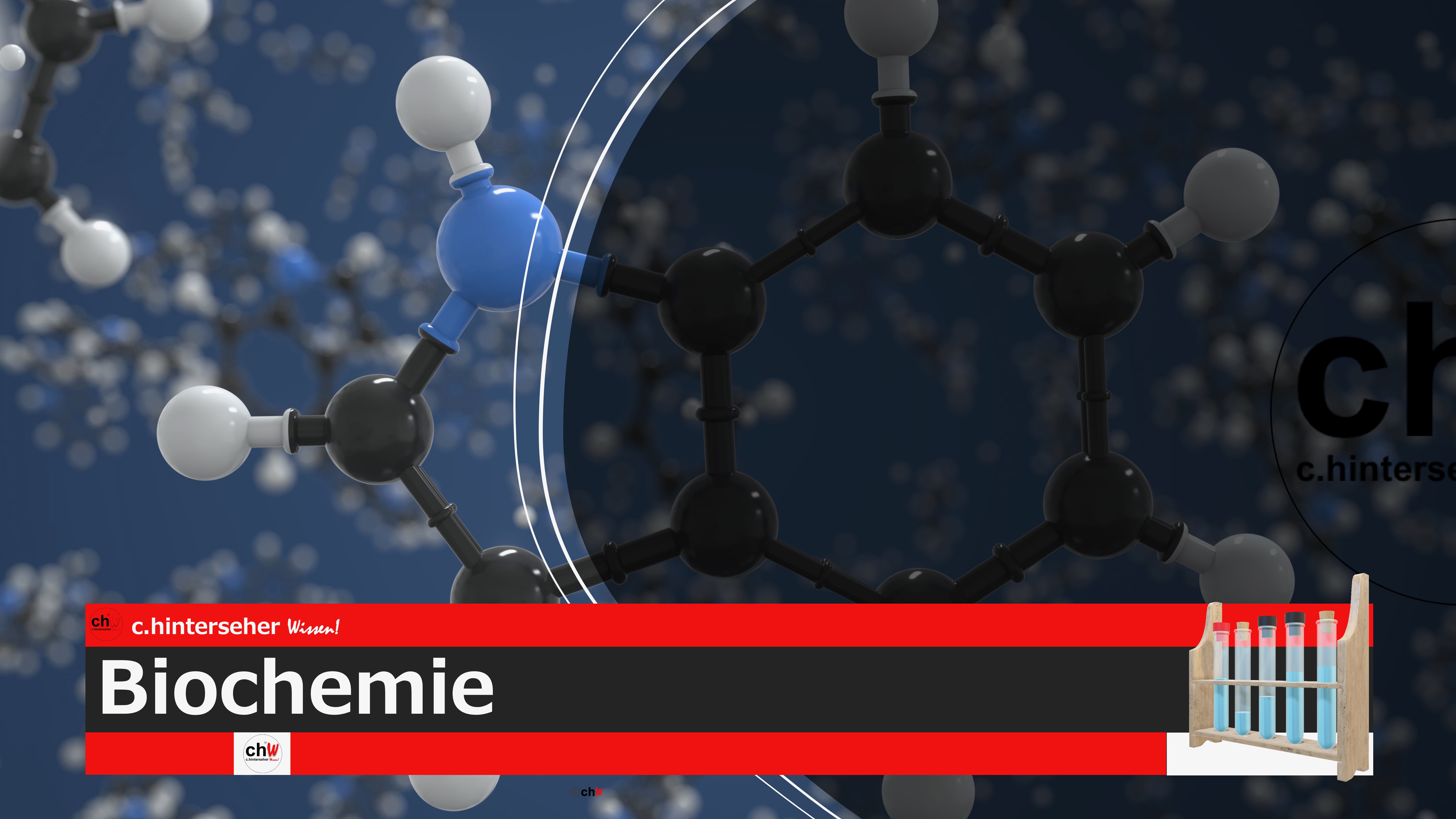 chW Biochemie Modul 3