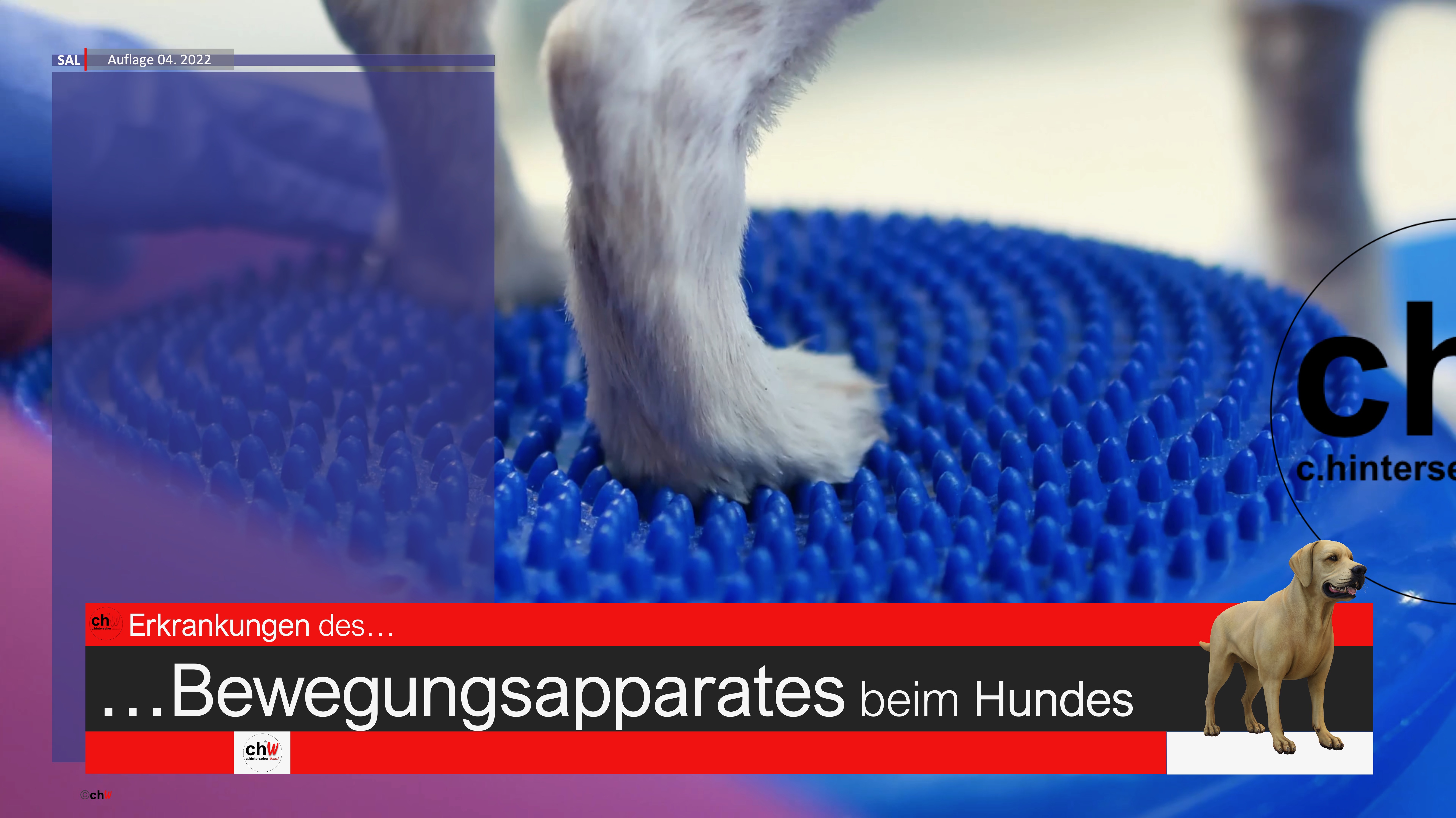 chW Erkrankungen des Bewegungsapparates beim Hund Modul 3