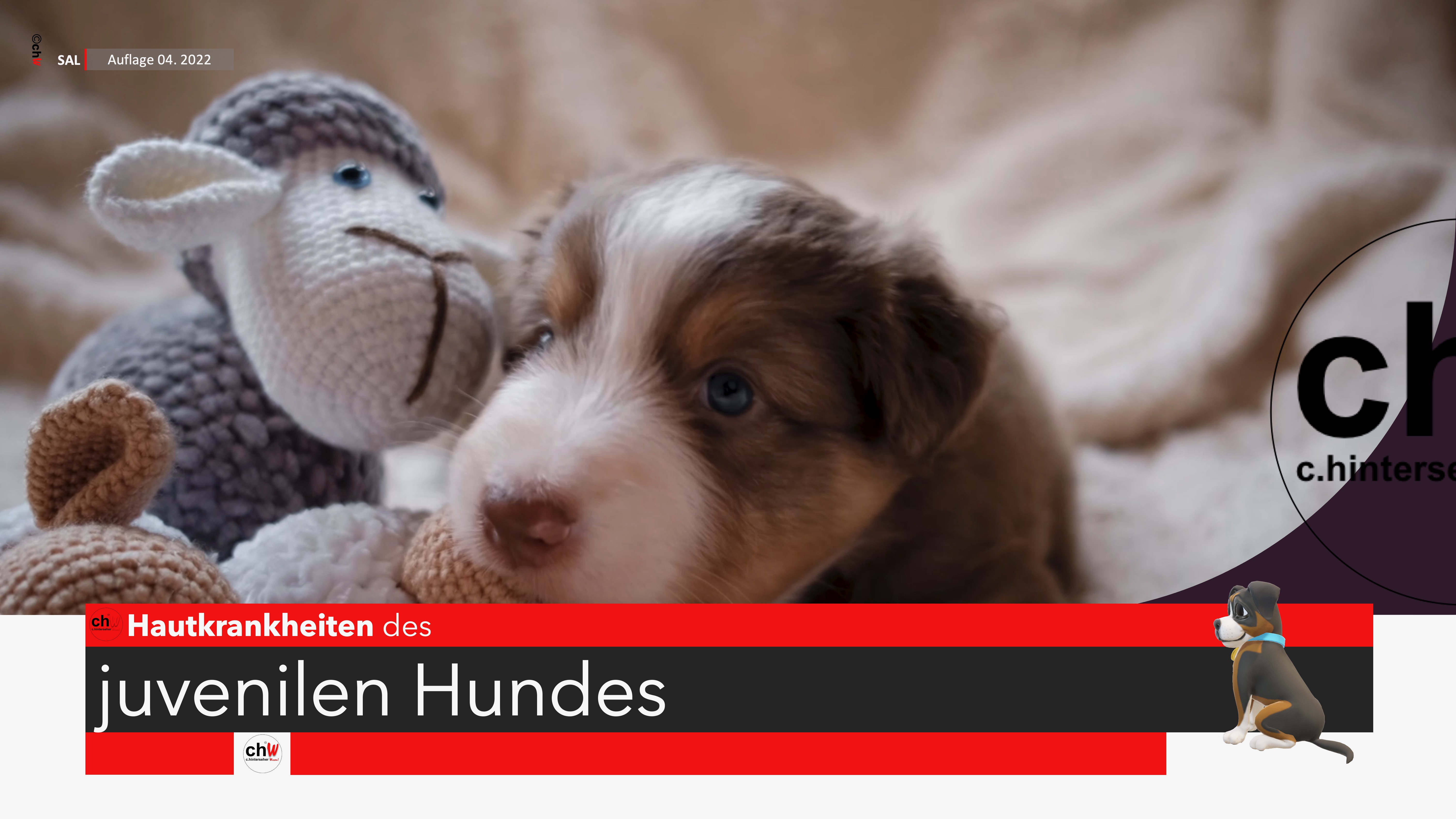 chW Hauterkrankungen des juvenilen Hundes Modul 3