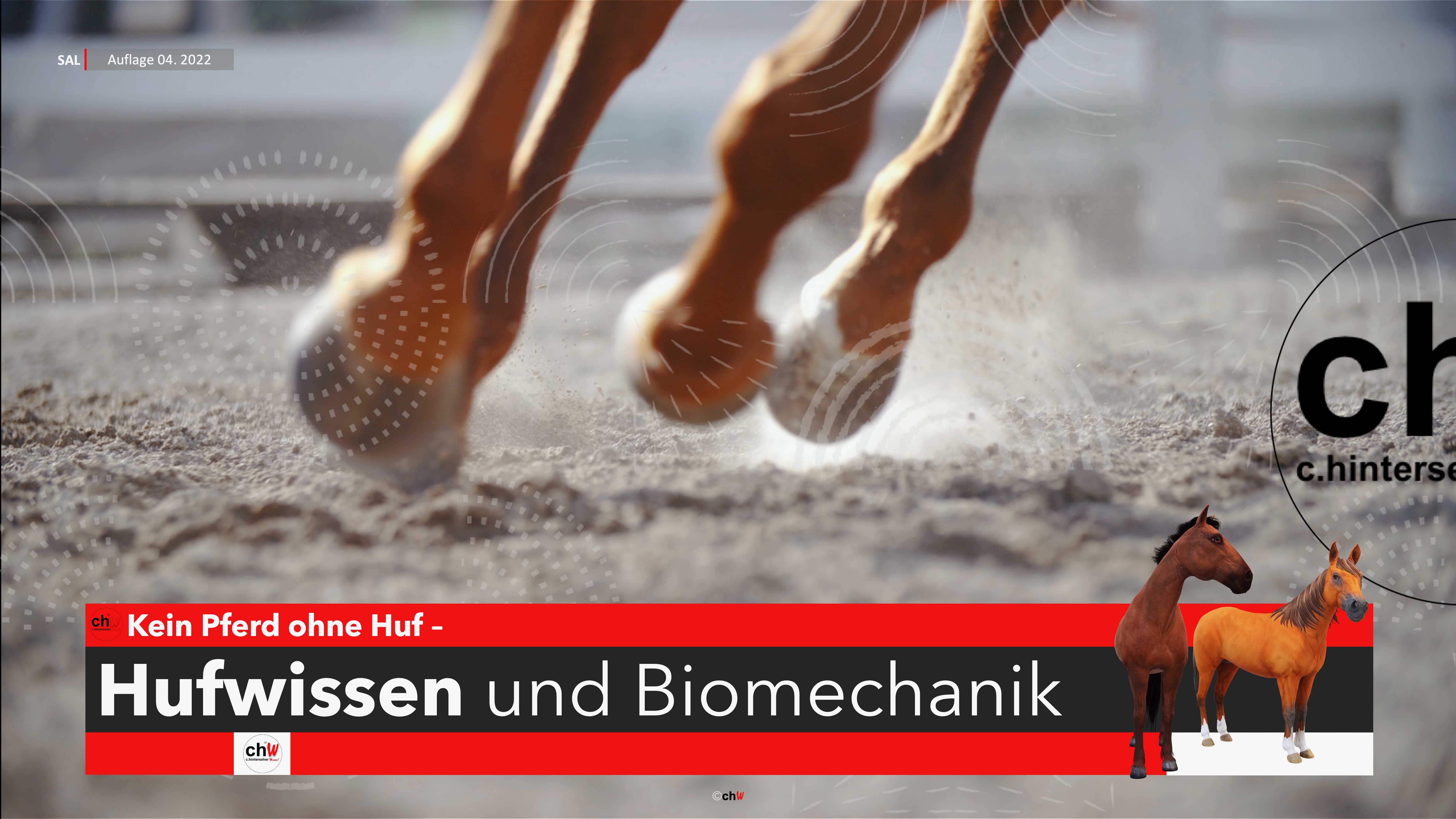 chW Kein Pferd ohne Huf – Hufwissen und Biomechanik Modul 3