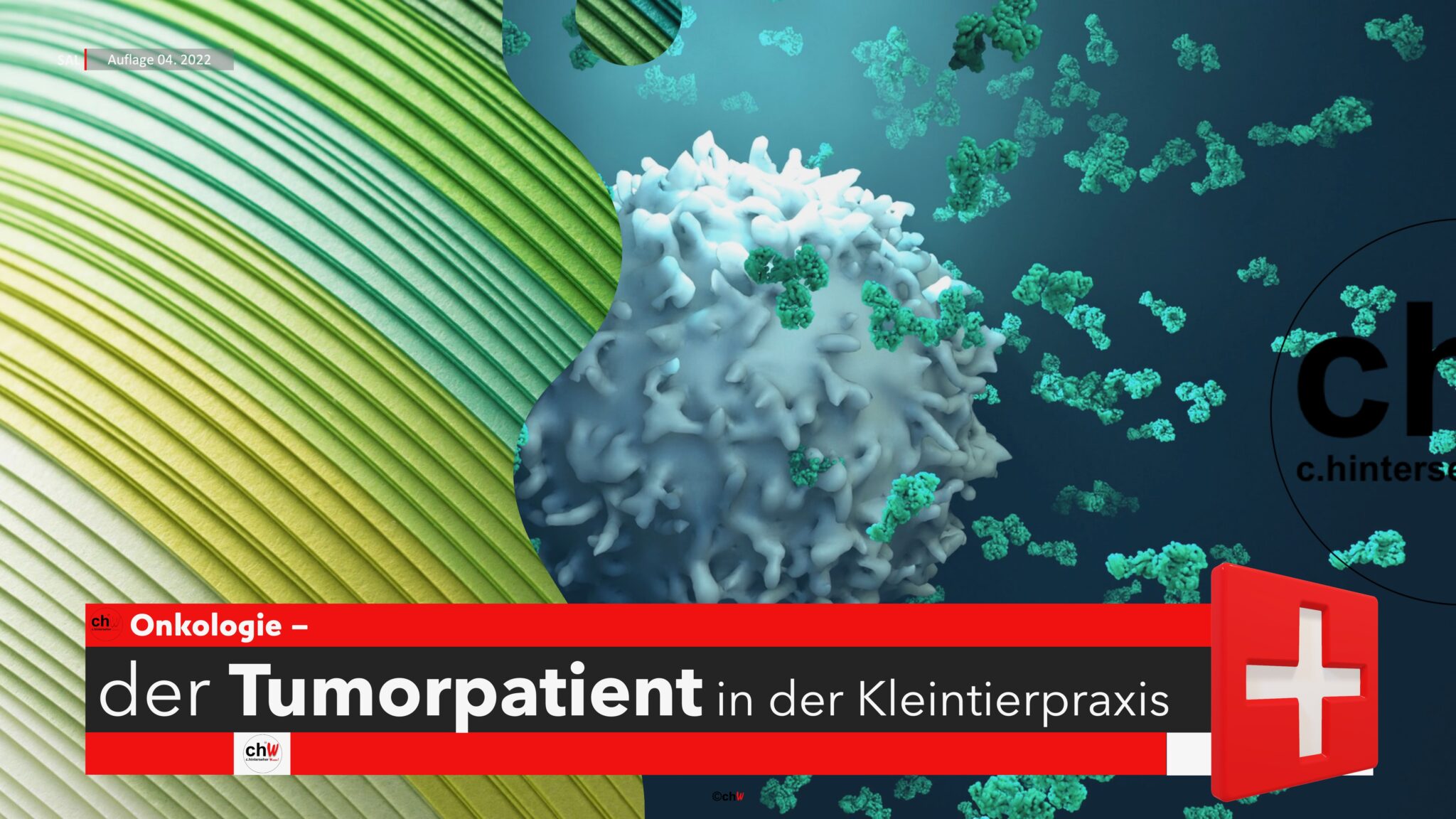 ChW Onkologie-der Tumorpatient In Der Kleintierpraxis Modul 1 – C ...