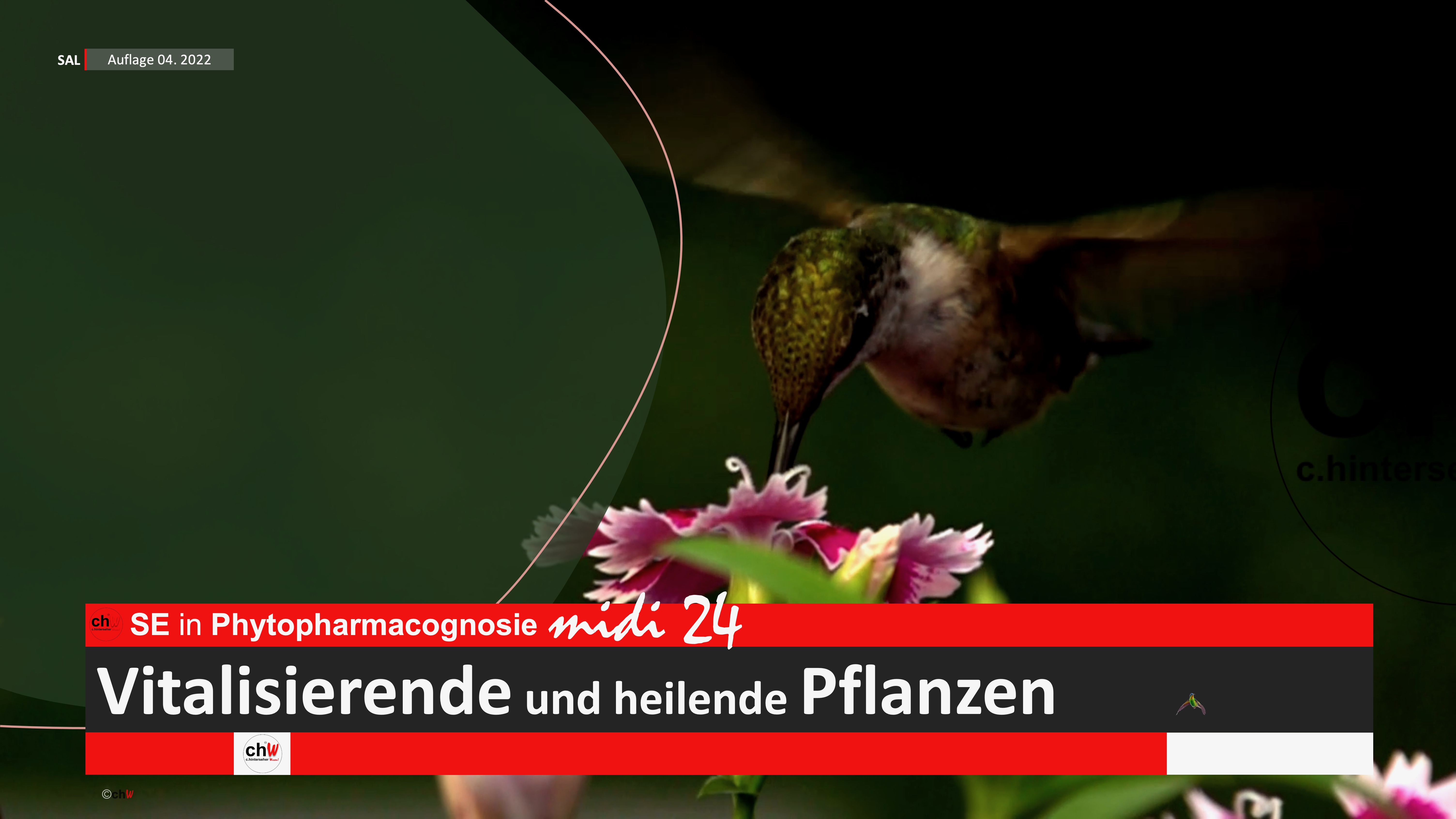 chW SE in Phytopharmacognosie midi 24 Vitalisierende und heilende Pflanzen