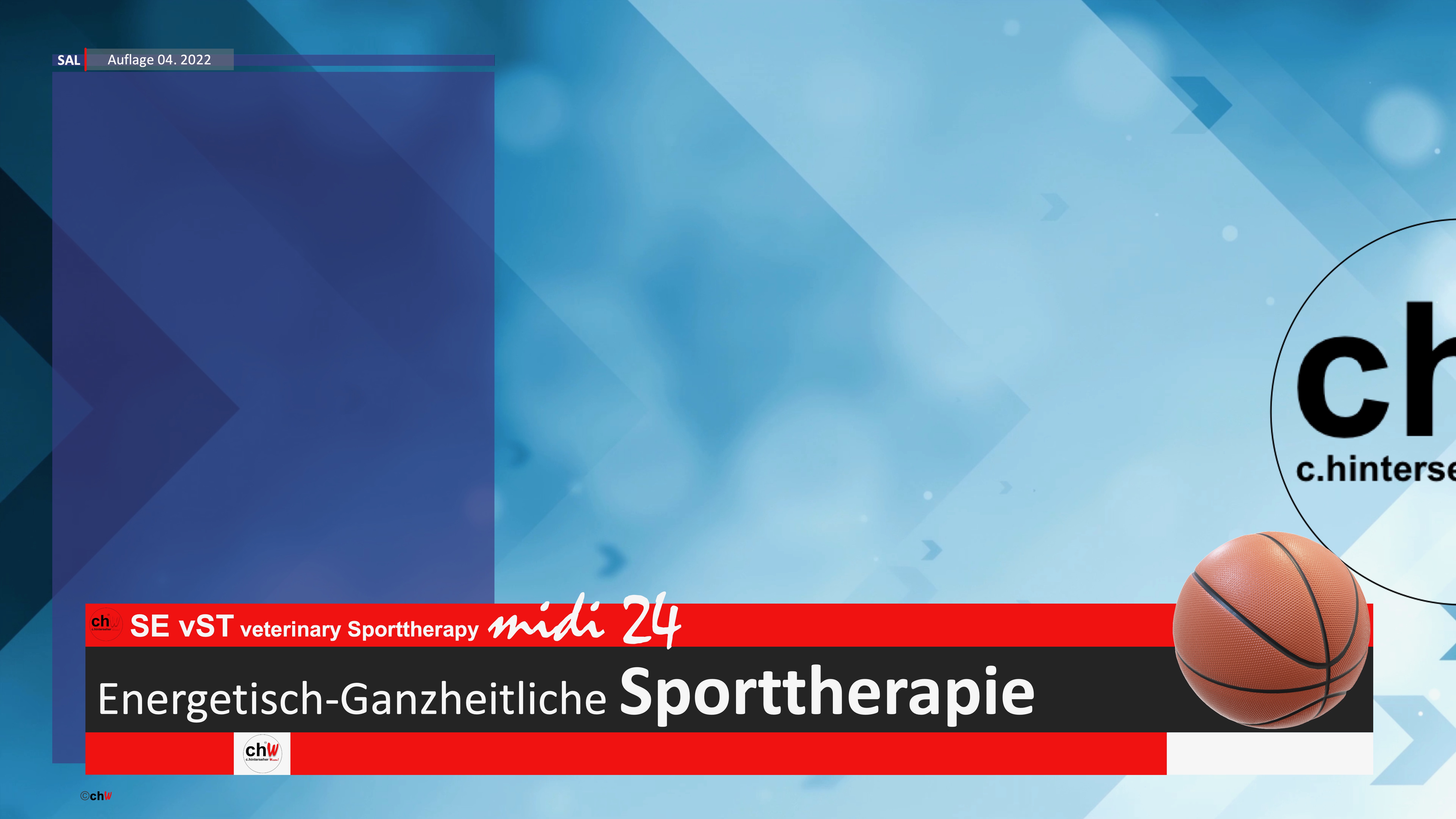 chW SE vST veterinary Sporttherapy midi 24 Energetisch-Ganzheitliche Sporttherapie