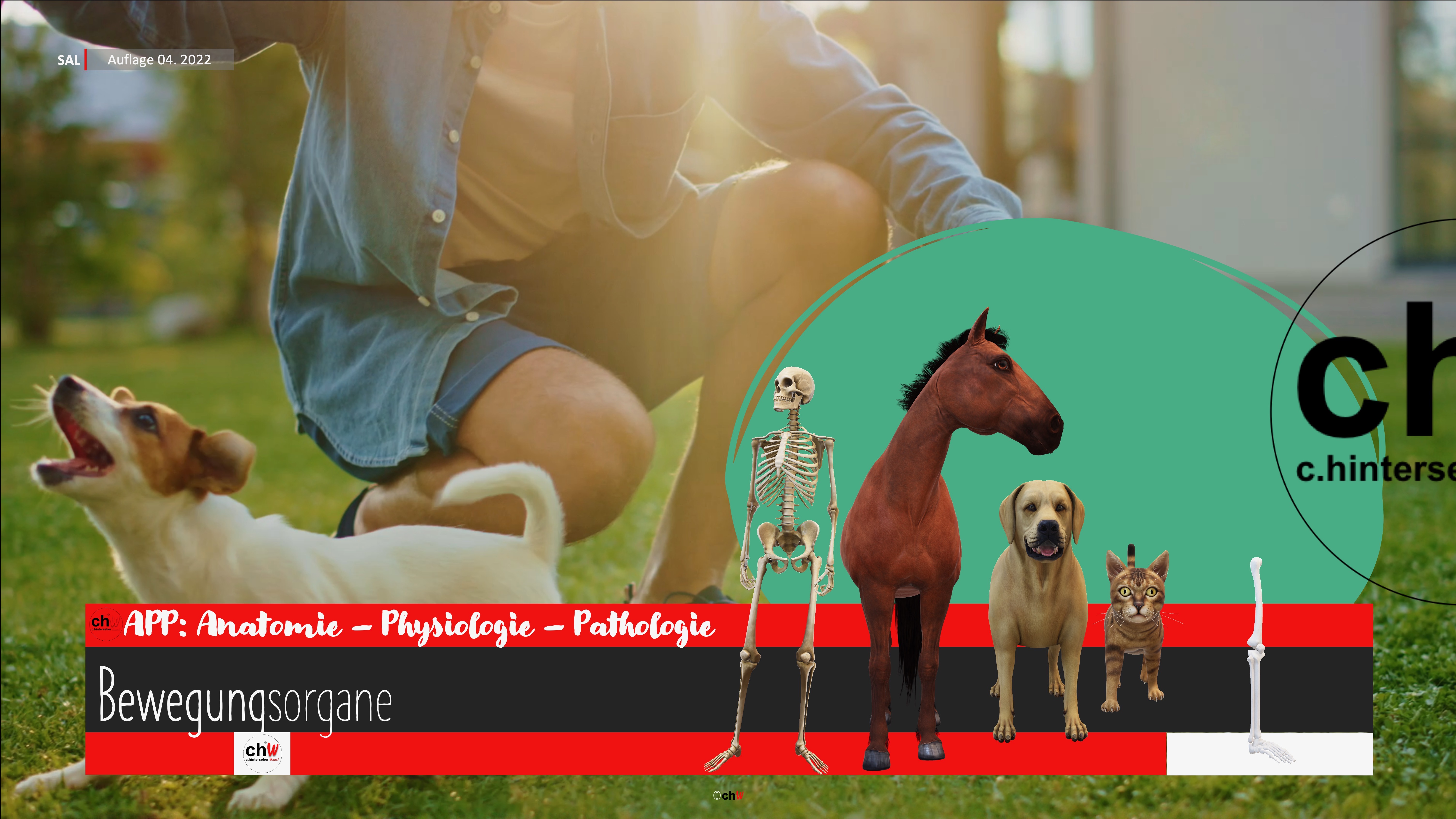 chW APP: Anatomie – Physiologie – Pathologie Bewegungsorgane I