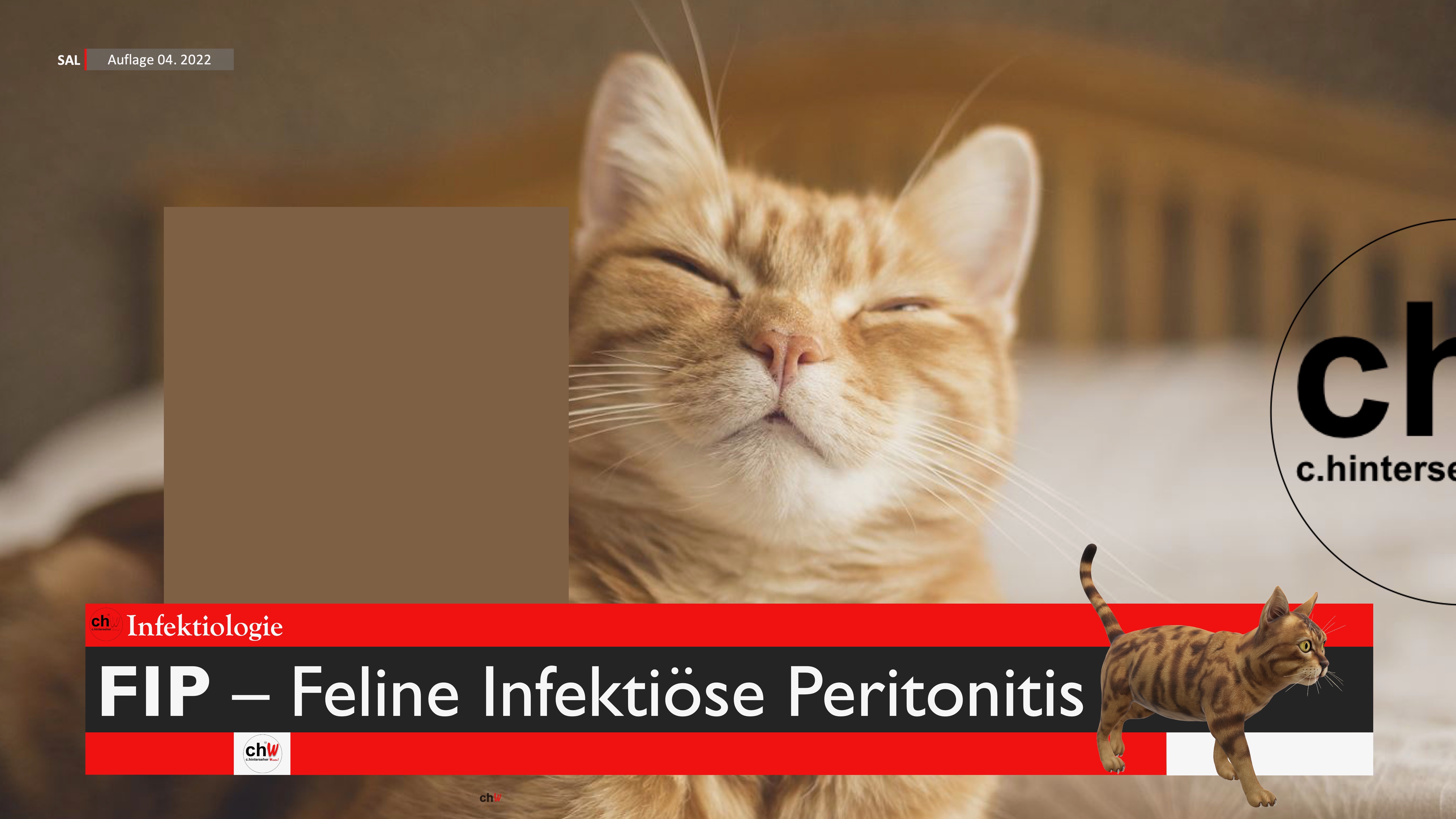 chW Infektiologie FIP – Feline Infektiöse Peritonitis II