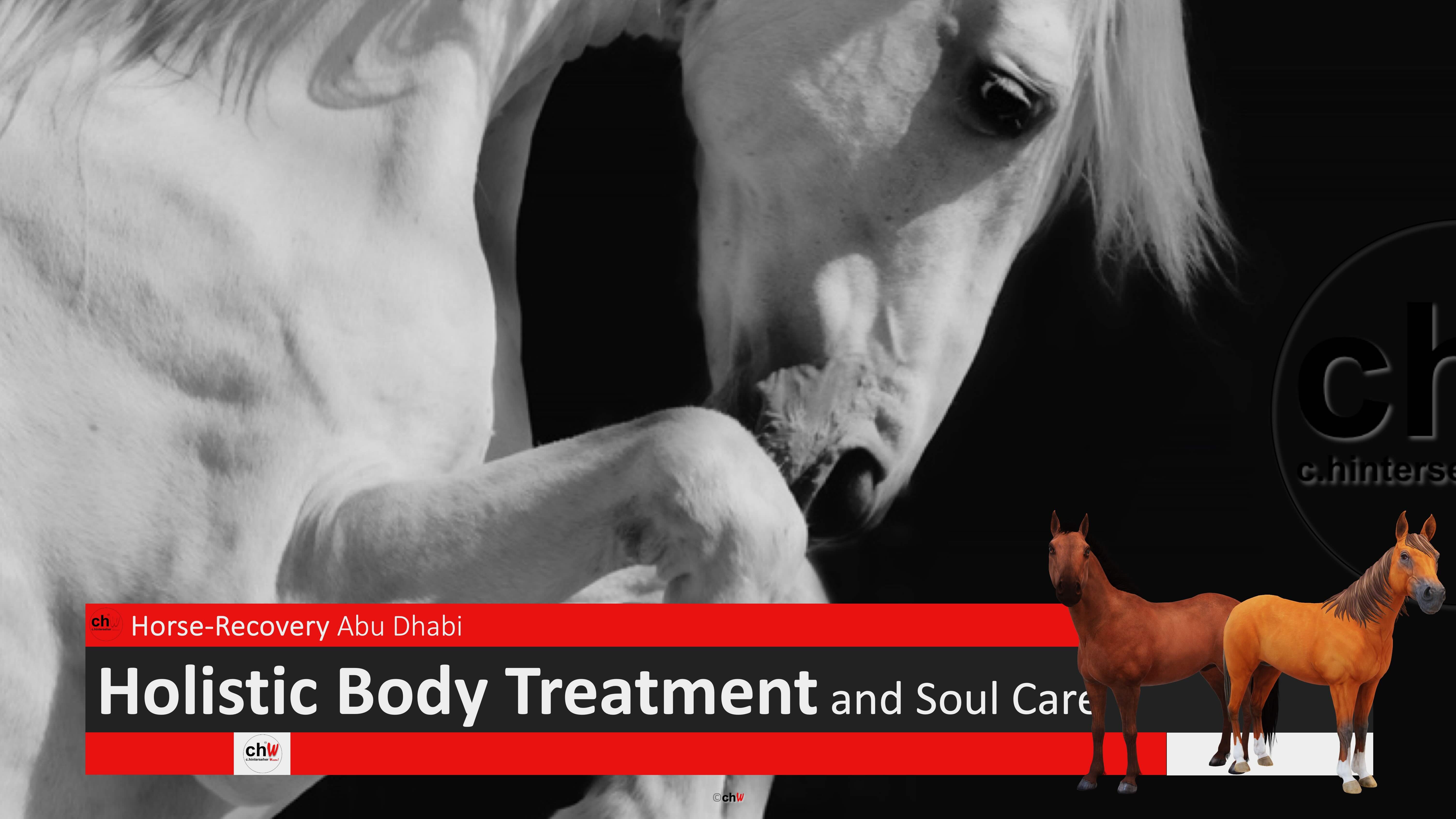 chW Horse-Recovery Abu Dhabi Holistic Body Treatment and Soul Care