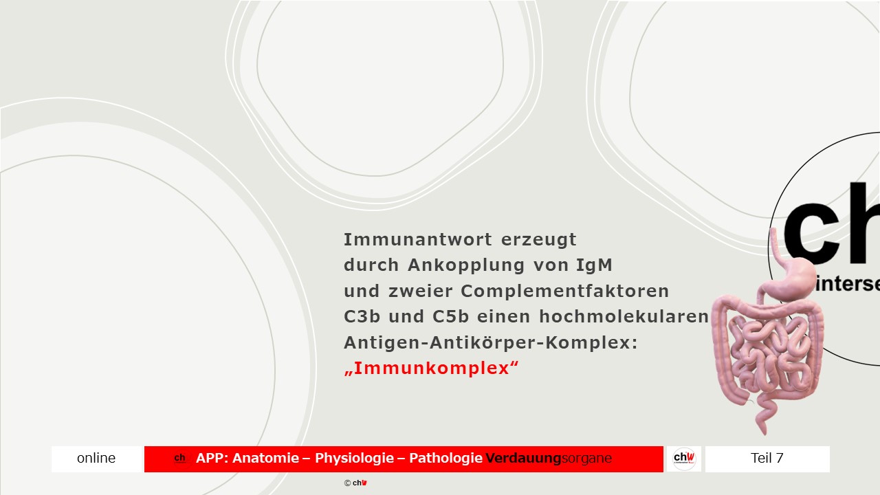 Chw App Anatomie Physiologie Pathologie Verdauungsorgane Iv C