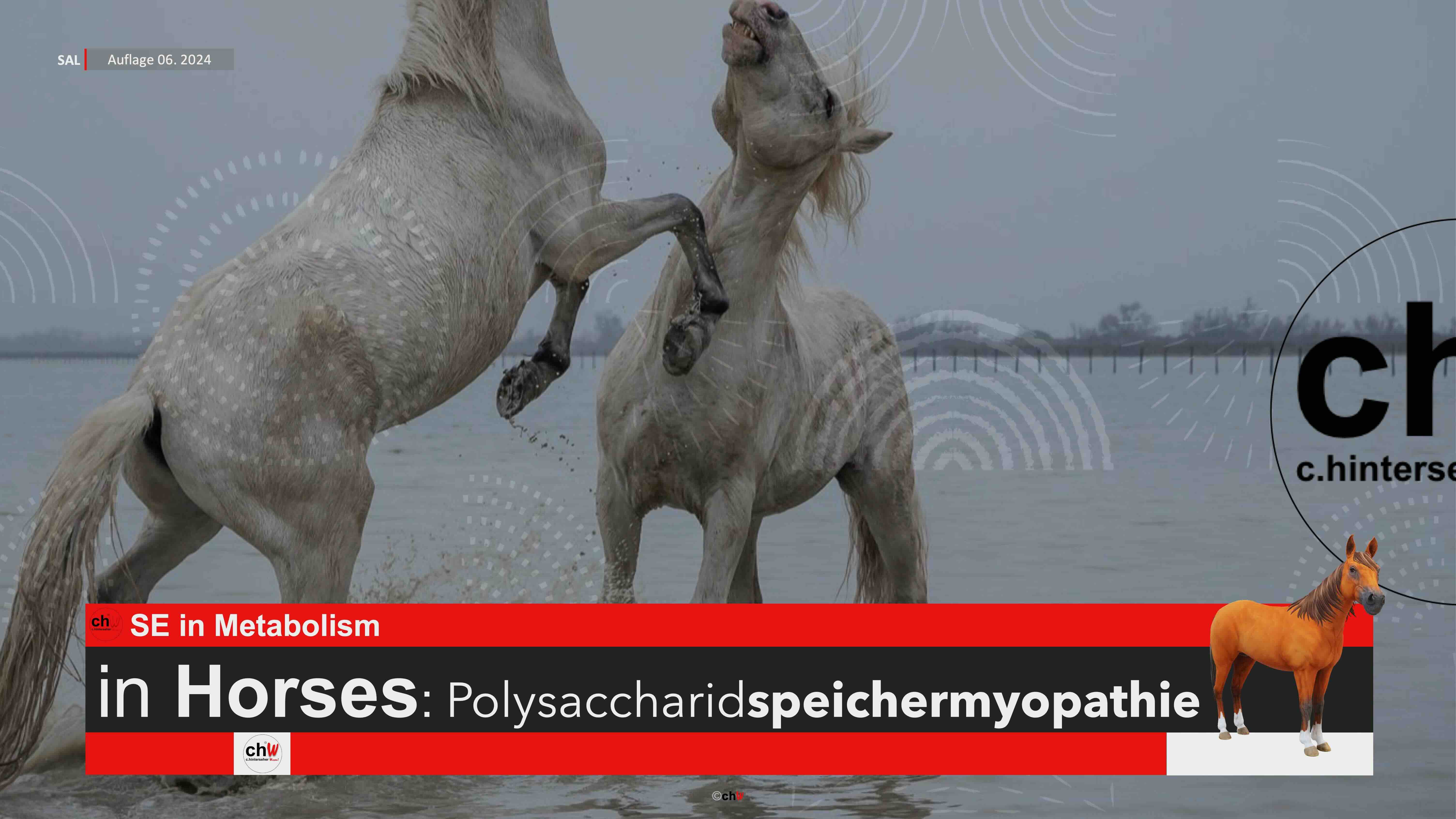 chW SE in Metabolism in Horses: Polysaccharidspeichermyopathie